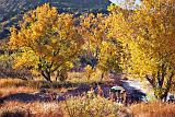 Palo Duro Canyon_72056